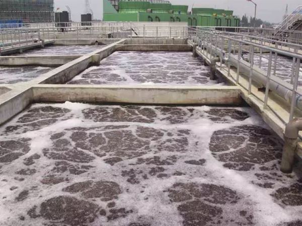 泡沫的危害 泡沫的危害